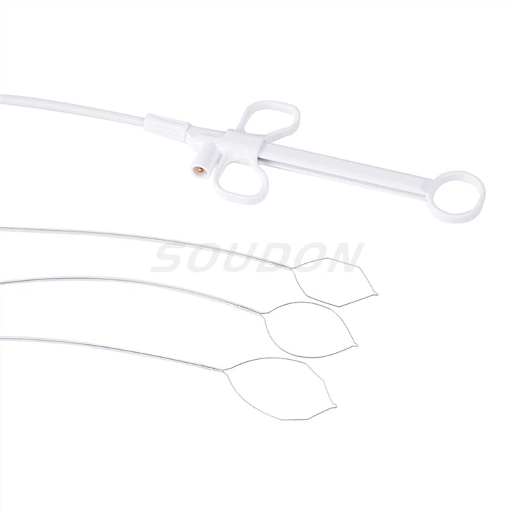 endoscopic snare polypectomy